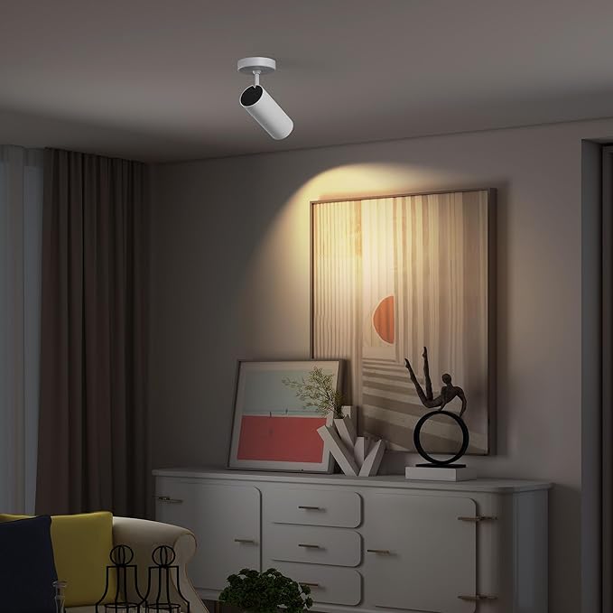 12W LED Dimmable Ceiling Spotlight Indoor - Adjustable Surface Accent Lamp for Corridor, Living Room, Warm White 3000K, CRI 97 Anti-Glare Picture Artwork Spot Light, White Finish, 2 Packs
