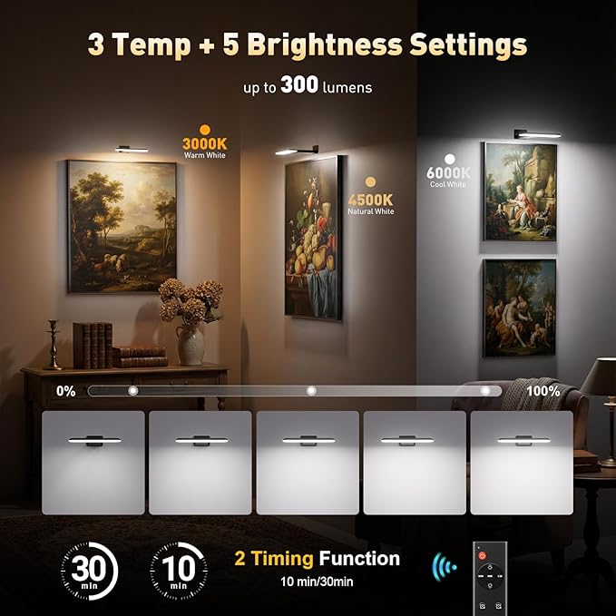 2 Pack Picture Lights for Wall, Rechargeable LED Picture Light Battery Operated with Remote, Dimmable Poster Light for Paintings, Portraits, Art Frames, Display Lighting for Wall Decor,Black