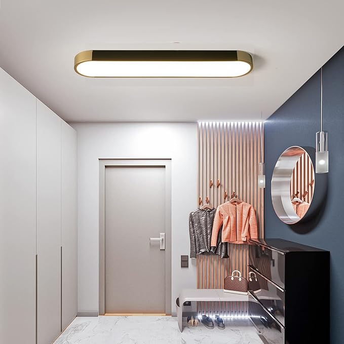 Tioolo Modern Ceiling Light, Acrylic Linear Ceiling Lamp, Dimmable LED Ceiling Light Fixture with Remote Control, Kitchen Dining Living Room Cloakroom Hallway Lighting (36W/27.5in L) - Aura Lighting