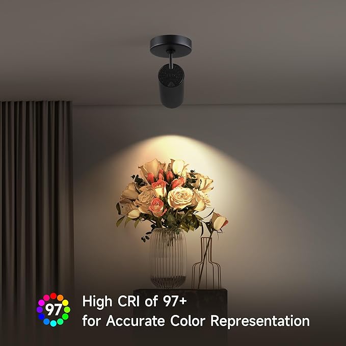 12W LED Dimmable Ceiling Spotlight Indoor - Adjustable Surface Accent Lamp for Corridor, Living Room, Warm White 3000K, CRI 97, Anti-Glare Picture Artwork Spot Light, Black