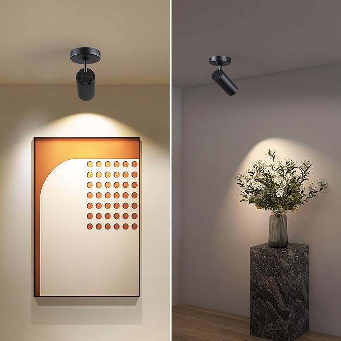 12W LED Dimmable Ceiling Spotlight Indoor - Adjustable Surface Accent Lamp for Corridor, Living Room, Warm White 3000K, CRI 97, Anti-Glare Picture Artwork Spot Light, Black