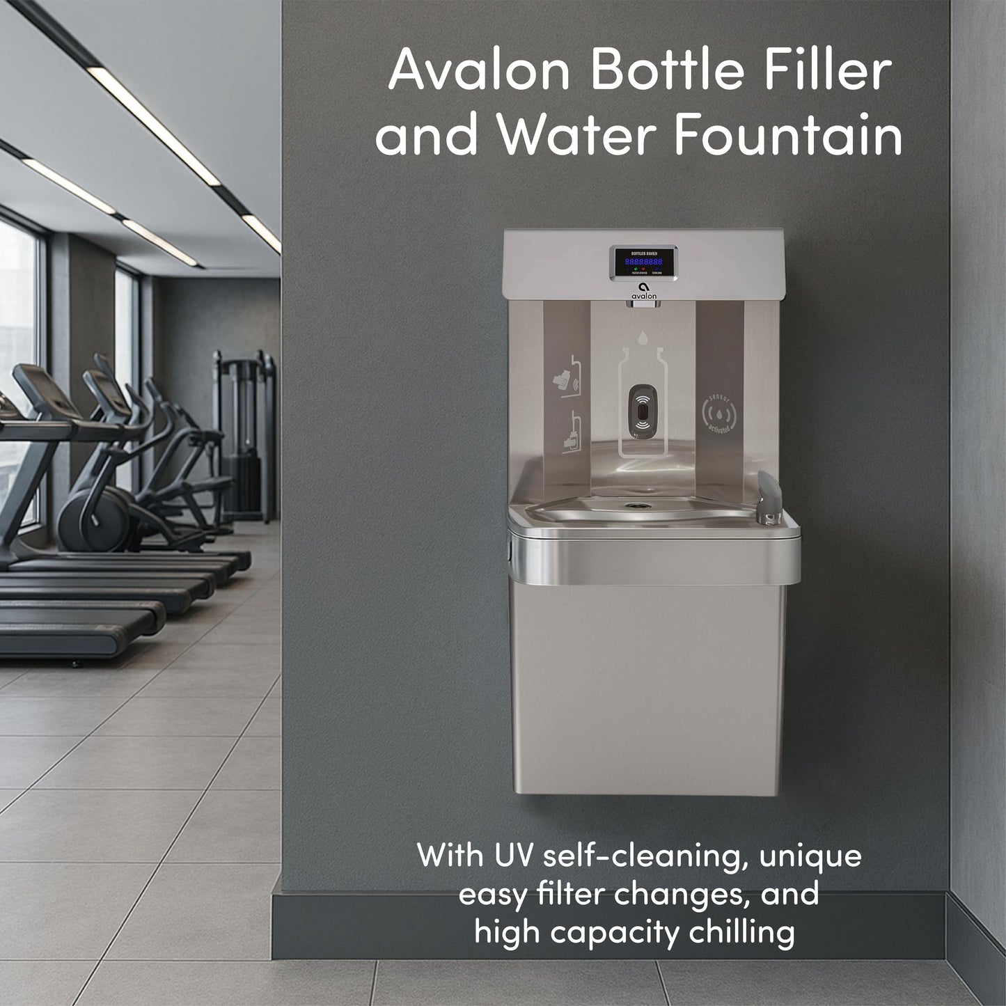 Wall Mounted Water Fountain with Bottle Filling Station