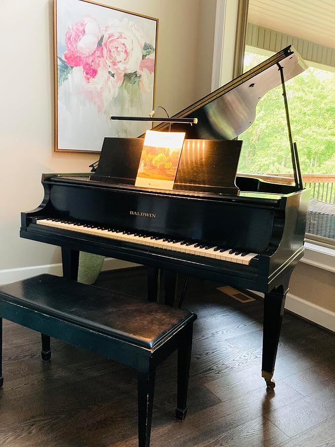 Cocoweb 19" LED Grand Piano Light in Black with Brass Accents with Dimmer Clip - Aura Lighting