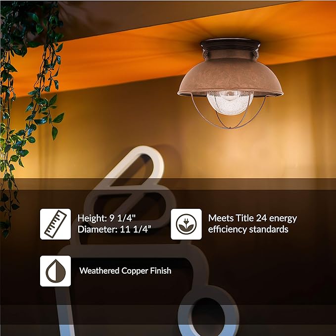 Sea Gull Lighting 8869-44 Sebring One-Light Outdoor Flush Mount Ceiling Light with Clear Seeded Glass Diffuser, Weathered Copper Finish