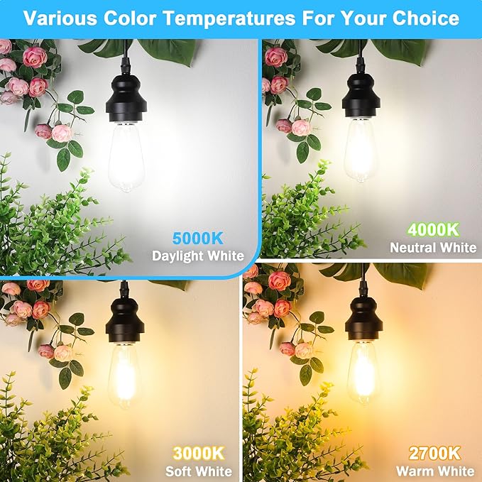 16-Pack Vintage Edison LED Bulbs, 60W Equivalent, 850LM 6W Edison Light Bulb Daylight White 5000K, ST58 LED Filament Bulb E26 Base, Non-Dimmable - Aura Lighting