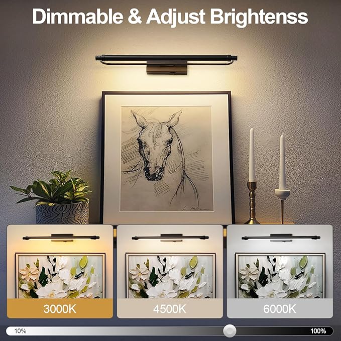 ZitoStory Battery Operated Picture Light for Wall with Remote,Dimmable Rechargeable LED Picture Lights Black Frame Wall Art Lamp for Bedroom, Living Room, Gallery 16 Inches