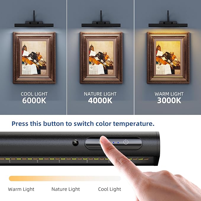 Wireless Picture Light, Battery Operated LED Painting Lights with Remote Control, Dimmable, Timer for Art Frame (Black-13.8inch)