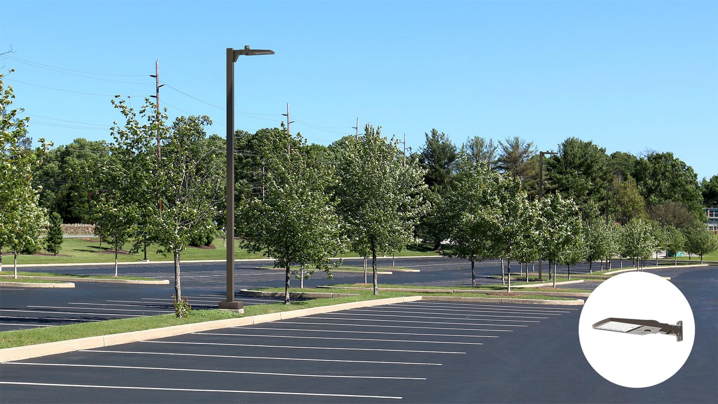 LED Outdoor Area Light Fixture