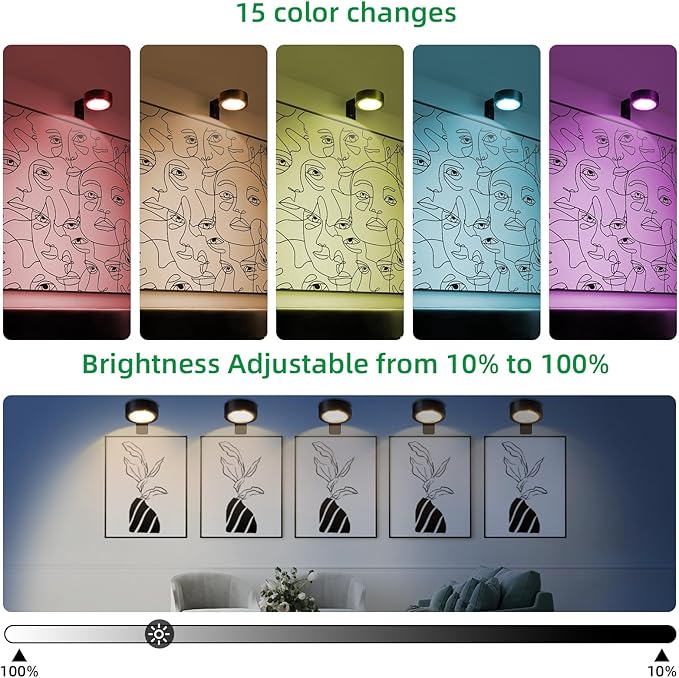 2 Pack Wireless Picture Lights for Wall,Rechargeable Picture Light Battery Operated with Remote,Dimmable Painting Light for Art Display,Battery Wall Lights for Dartboard Photo Frame Gallery.Black