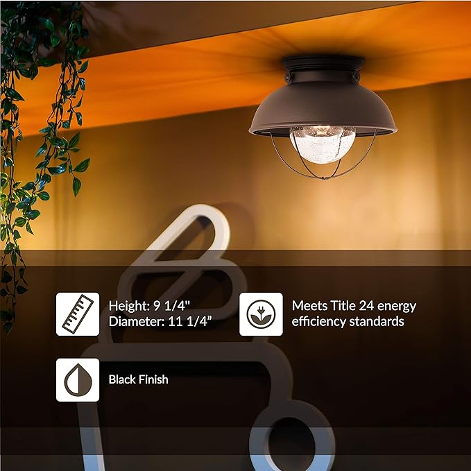 Sea Gull Lighting 8869-12 Sebring Transitional One - Light Outdoor Ceiling Flush Mount Outside Fixture, Black Finish
