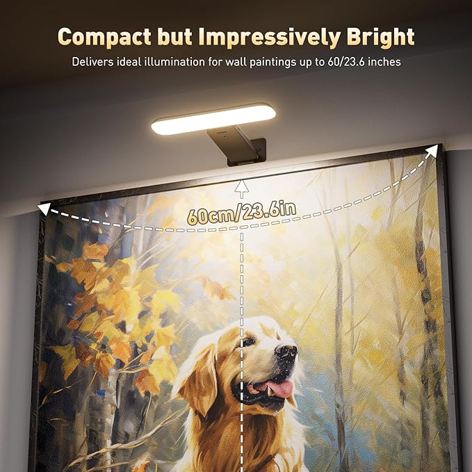 2 Pack Picture Lights for Wall, Rechargeable LED Picture Light Battery Operated with Remote, Dimmable Poster Light for Paintings, Portraits, Art Frames, Display Lighting for Wall Decor,Black