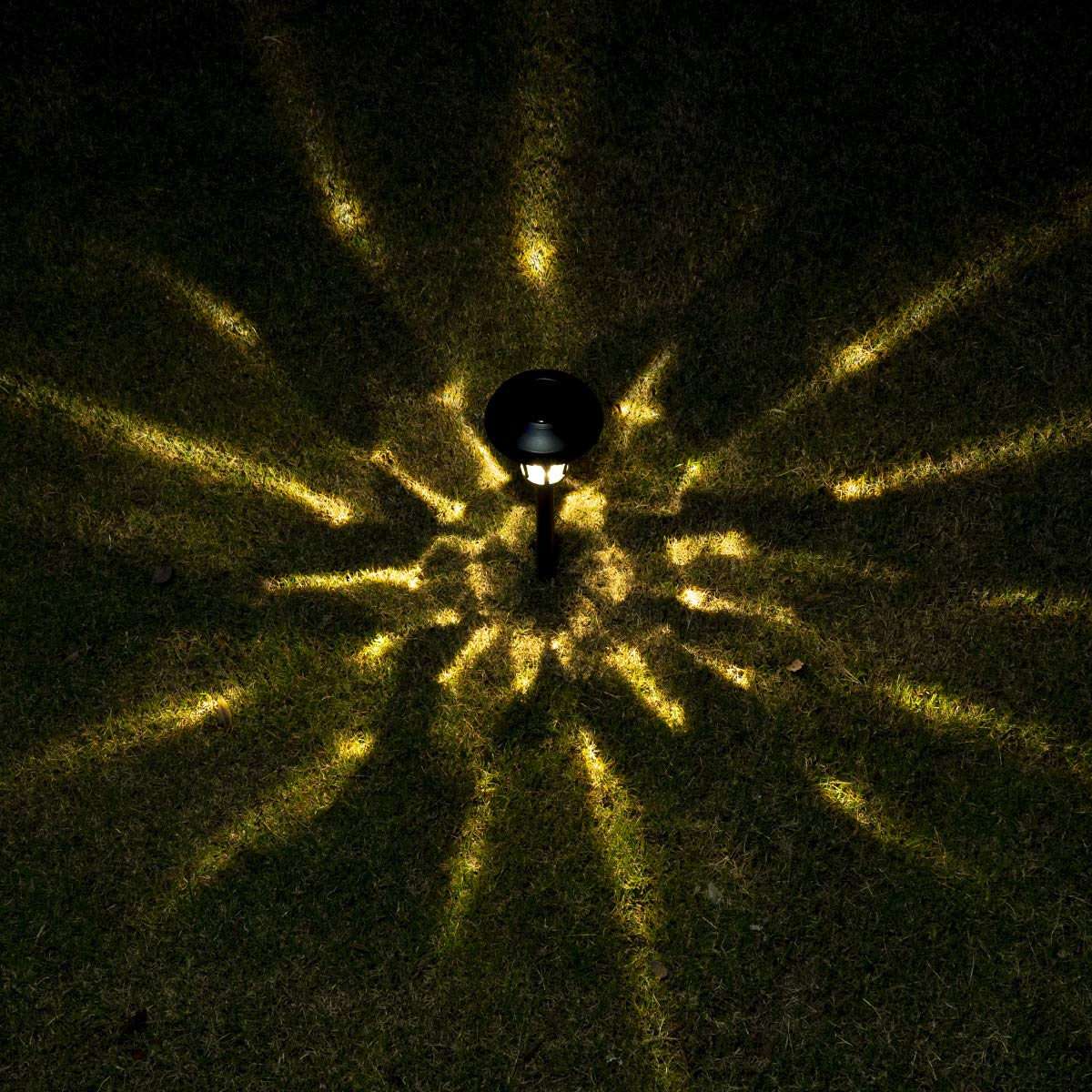 Solar Pathway Lights Outdoor (6 Count)