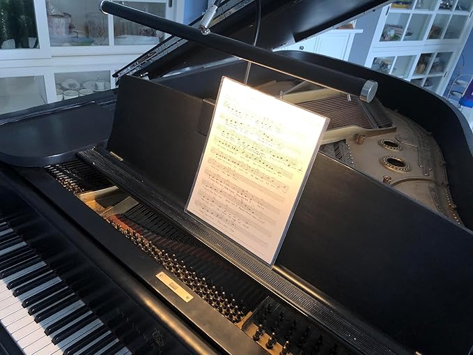 Cocoweb 19" LED Grand Piano Light in Mahogany Bronze with Brass Accents with Dimmer Clip - Aura Lighting