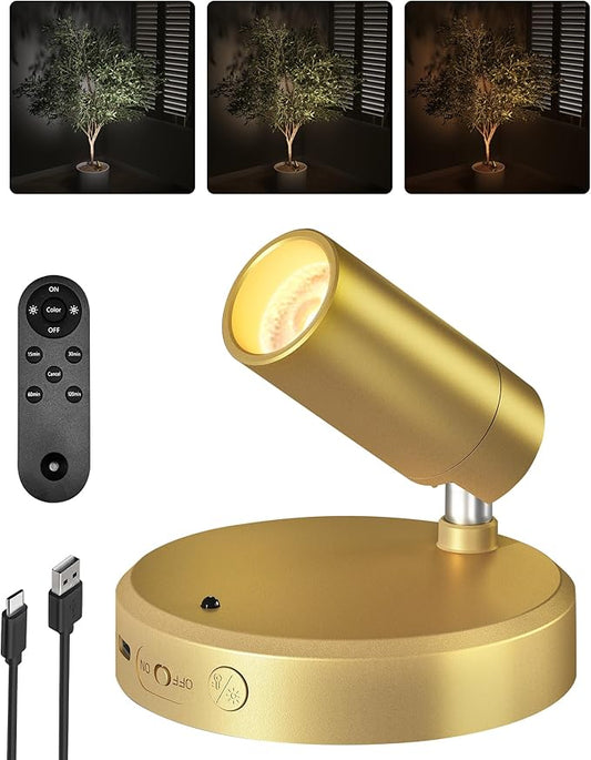 EZVALO LED Spotlight Indoor, 5500mAh Rechargeable Battery Picture Lights, Wireless Mini Art Accent Spot Lights with Remote, Uplighting Indoor for Plants Display Painting Artwork Portrait (1Pack-Gold) - Aura Lighting