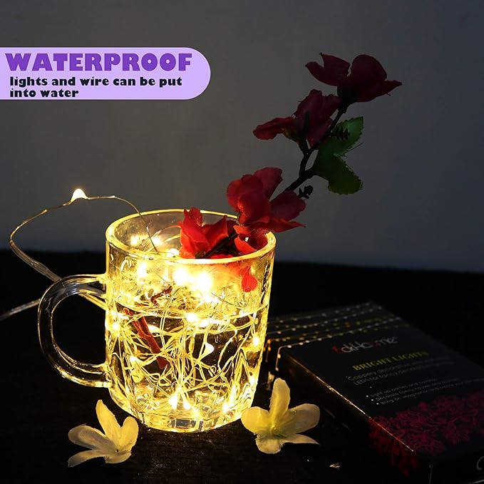[12-Pack] 8 Modes Fairy String Lights with Timer, 20 LEDs Lights on 6.5ft Silver Wire,Fairy Lights Battery Powered 2xCR2032,3 to 4 Days in The Timing, Party,Wedding,Christmas Table Decor,WarmWhite