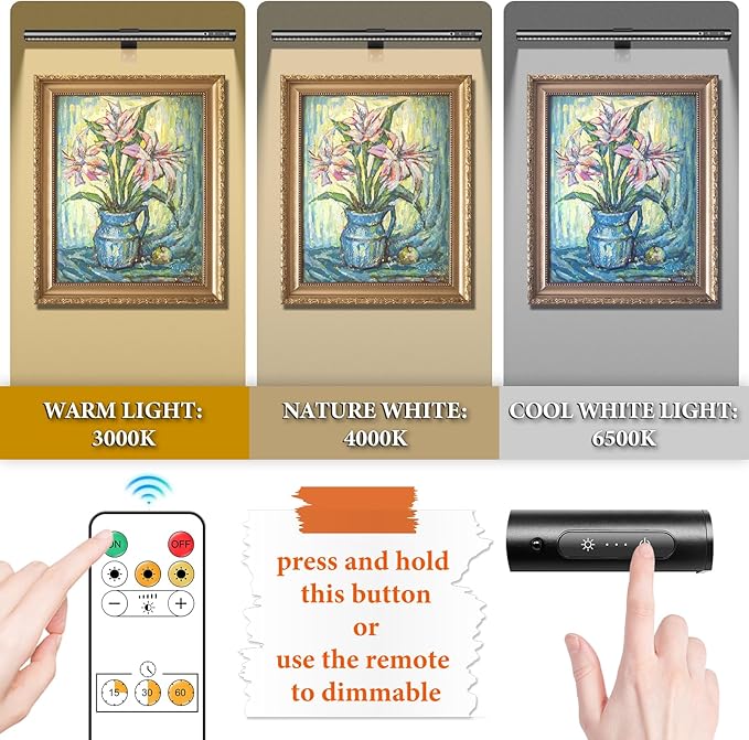 Wireless Picture Light, Battery Operated LED Painting Lights with Remote Control, Dimmable, Timer for Art Frame (Black-19.7inch)