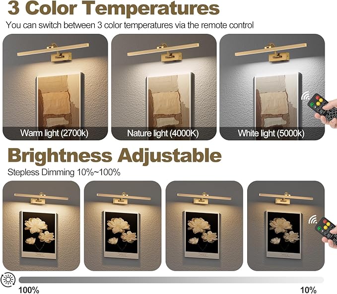 Wireless Picture Lights for Wall,23.5 Inch Brass Art Light for Paintings,Battery Operated Picture Lights with Remote Control,Dimmable Rechargeable Art Lamps for Picture Frame,Gallery