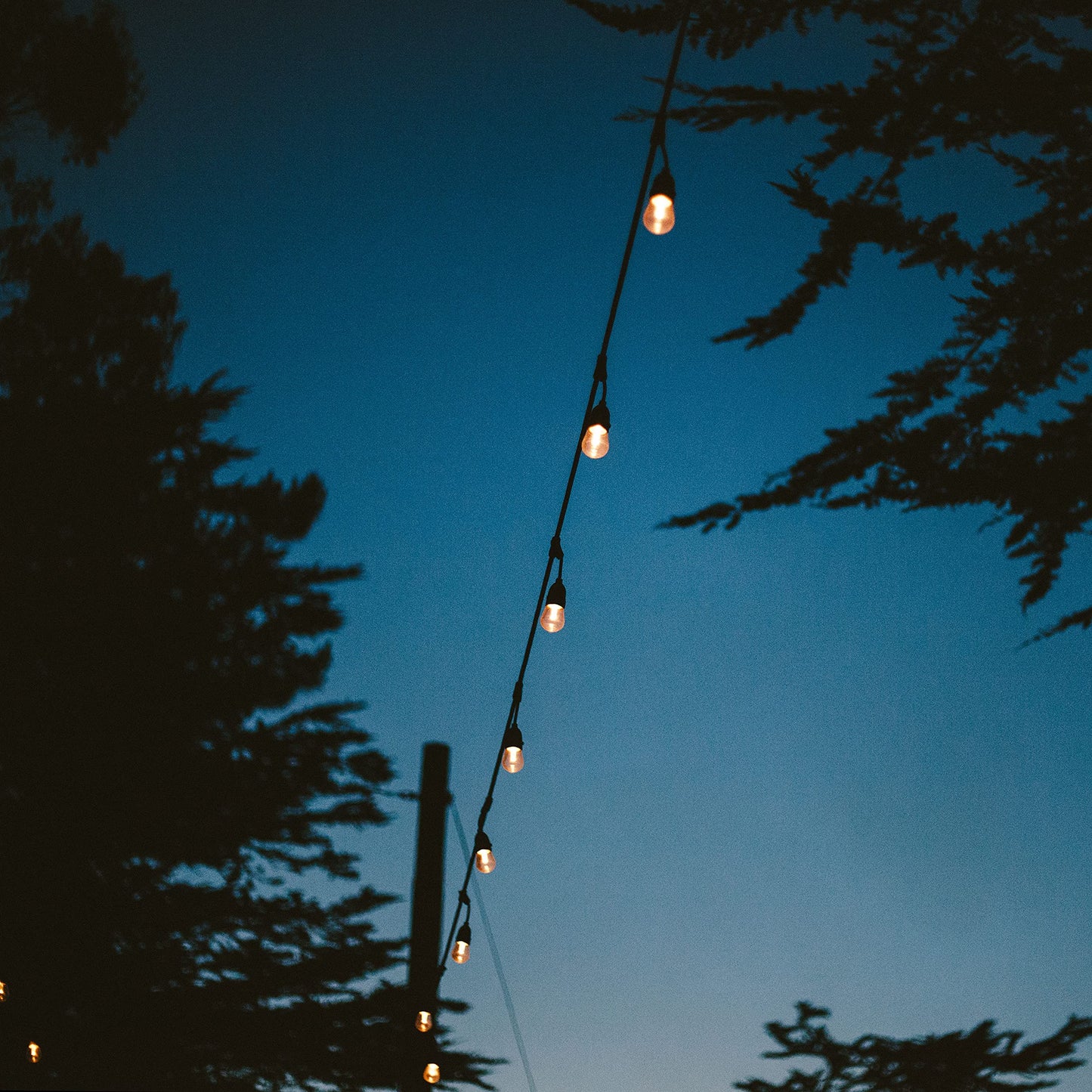 STRING15/E26-S14KT Outdoor, Garden, Patio, Wedding, Party, Holiday, Lawn, and Landscape String Light w/Incandescent Bulbs, 48-Feet, 15 Lights