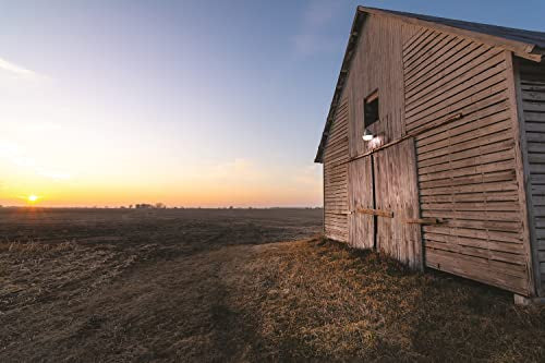 BarnGuard LED Barn Light