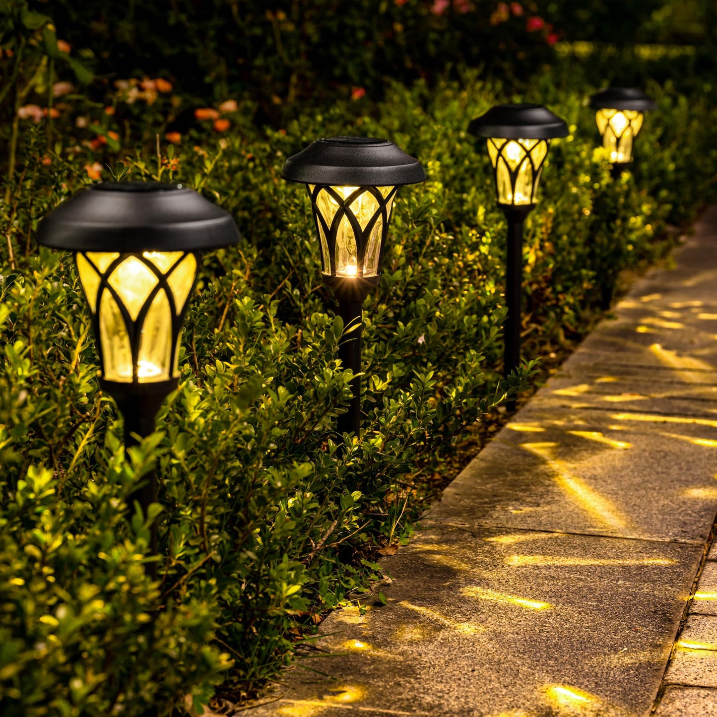 Solar Pathway Lights Outdoor (6 Count)