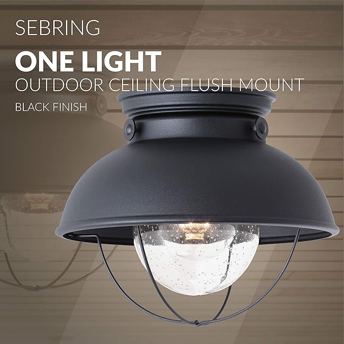 Sea Gull Lighting 8869-12 Sebring Transitional One - Light Outdoor Ceiling Flush Mount Outside Fixture, Black Finish