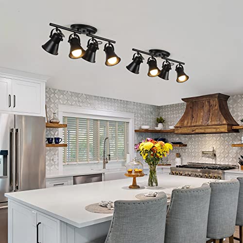 4 Light Track Lighting Kit (4-Light / Black)