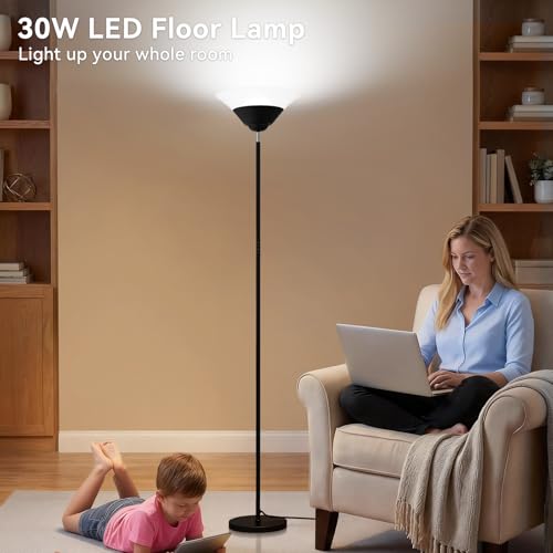 Floor Lamps for Living Room (Black)