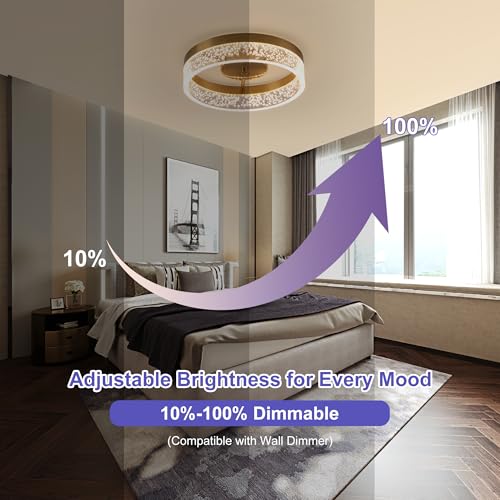 Modern LED Ceiling Light Fixture (11.65in Gold)