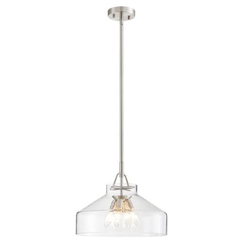 Pendant Chandelier Light with Glass Shade