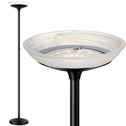 Torchiere Floor Lamp (Black Floor Lamp)