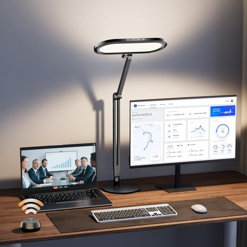 Premium LED Desk Lamp (Black)