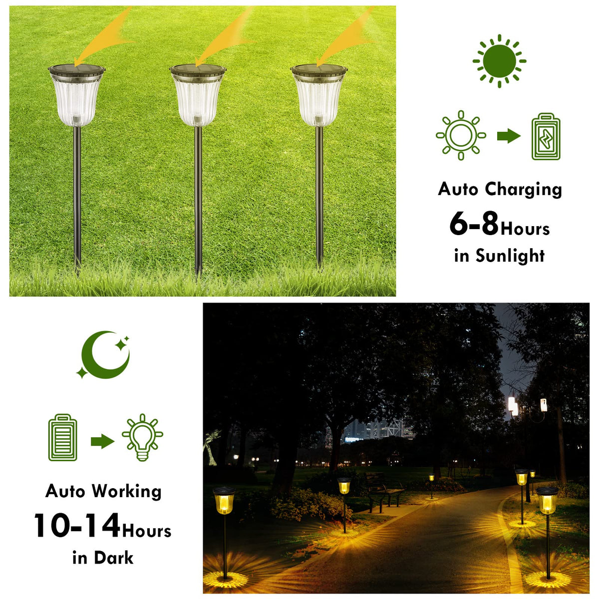 Solar Pathway Lights Outdoor (1 Pack-200 Lumen)