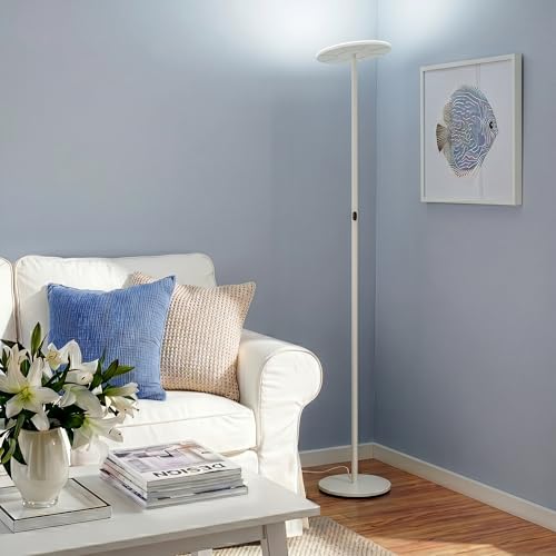 Sky Flux Dimmable LED Floor Lamp (White)