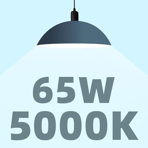 BR30 LED Bulb