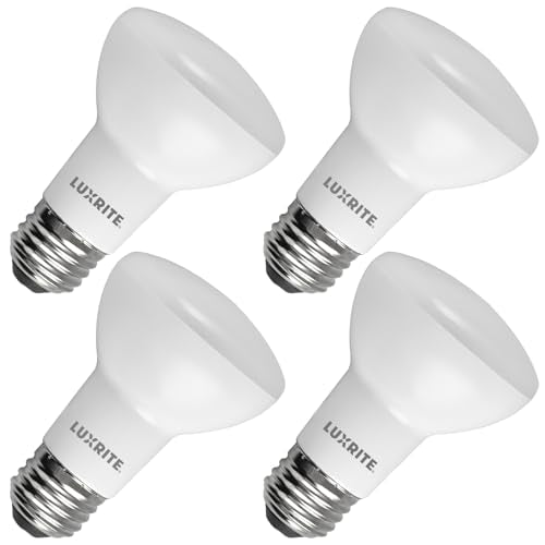 BR20 LED Light Bulb (4 Count (Pack of 1) / 5000k (Bright White))