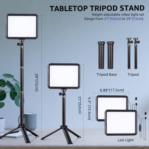 LED Photography Lighting Kit (8“)