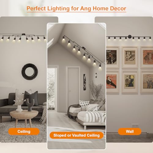 Plug in Track Lighting LED (8-Light Track Light(Black))