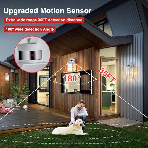 Porch Lights Outdoor with Remote (1 White RW)