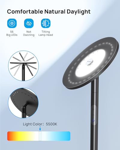 Floor Lamp LED Modern Torchiere Lamp (Daylight Black)