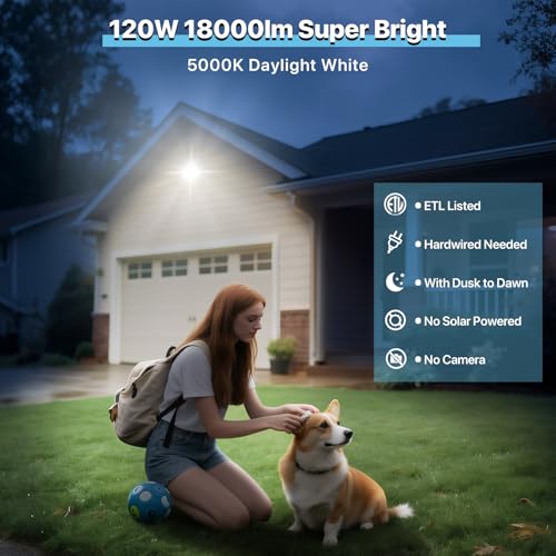 LED Wall Pack 120W (120W-2Packs)