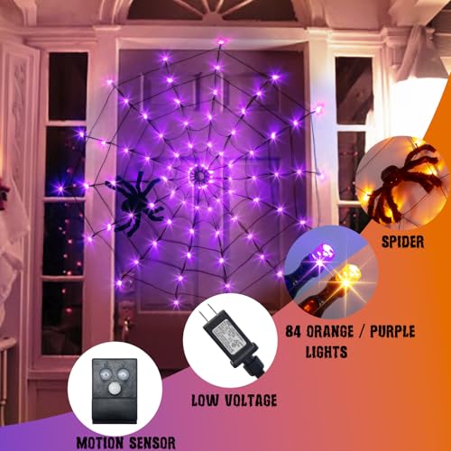 Halloween Decorations (purple/orange lights with music)