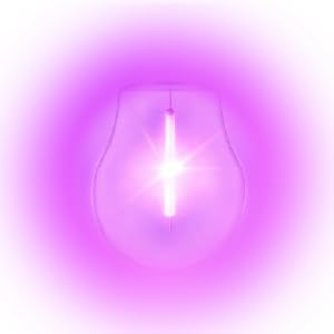 Solar Outdoor Lights