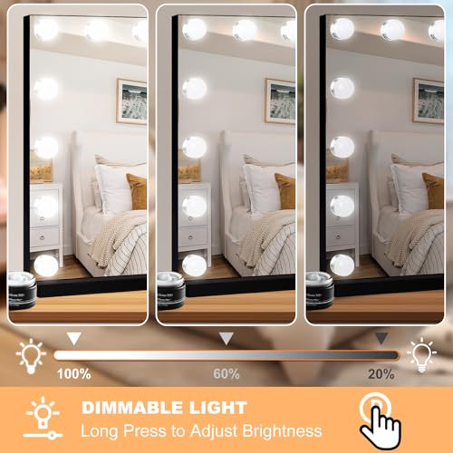 Vanity Mirror with Lights (Black / 23"L x 18"W)