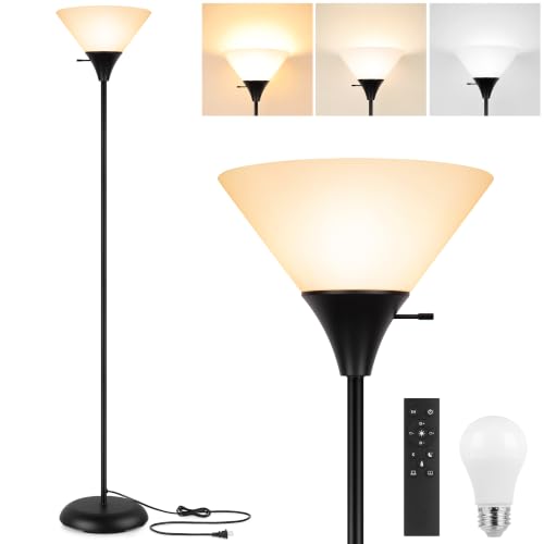 Floor Lamp for Living Room (Black)