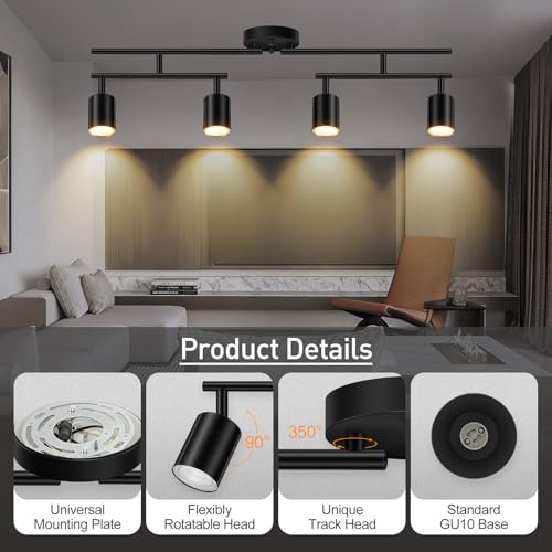 Black Track Lighting Kit (Black / 30" 4 Light Track Light)