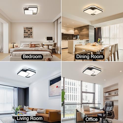 Modern Ceiling Light with Remote for Bedroom Living Room Kitchen Hallway 0109