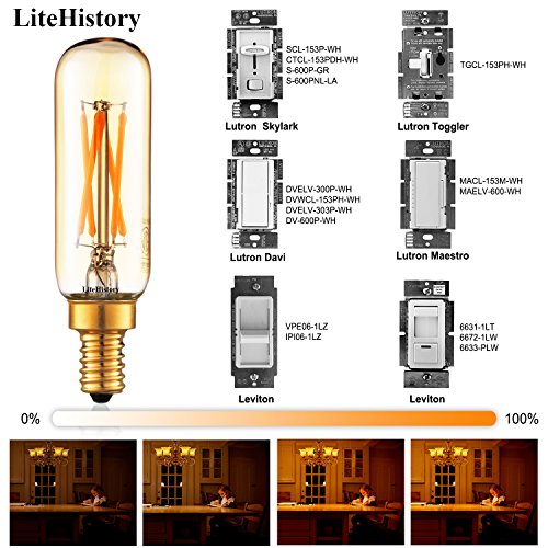 T6 E12 Bulb 40 watt Candelabra Light Bulbs (Utral Warm White 2200k 4w)