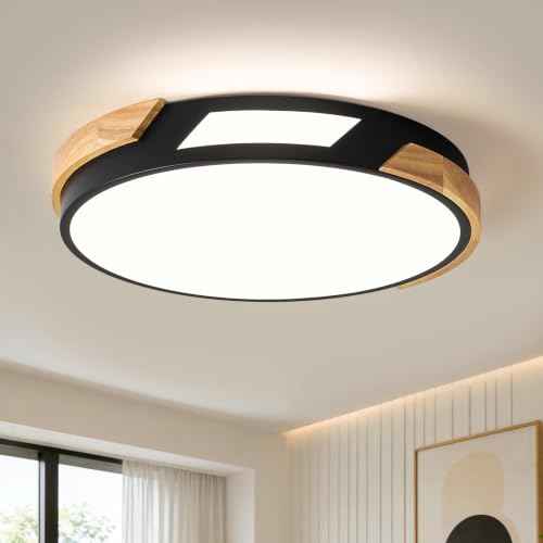 Modern LED Ceiling Light (Black / 15.75 in)