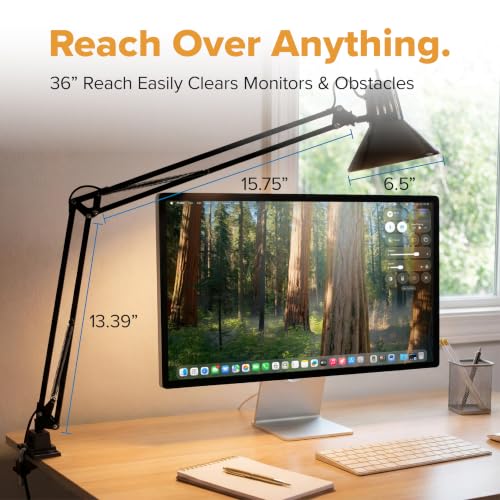 Office VLF100 LED Swing Arm Desk Lamp with Clamp Mount (36" Reach / Clamp, Black)