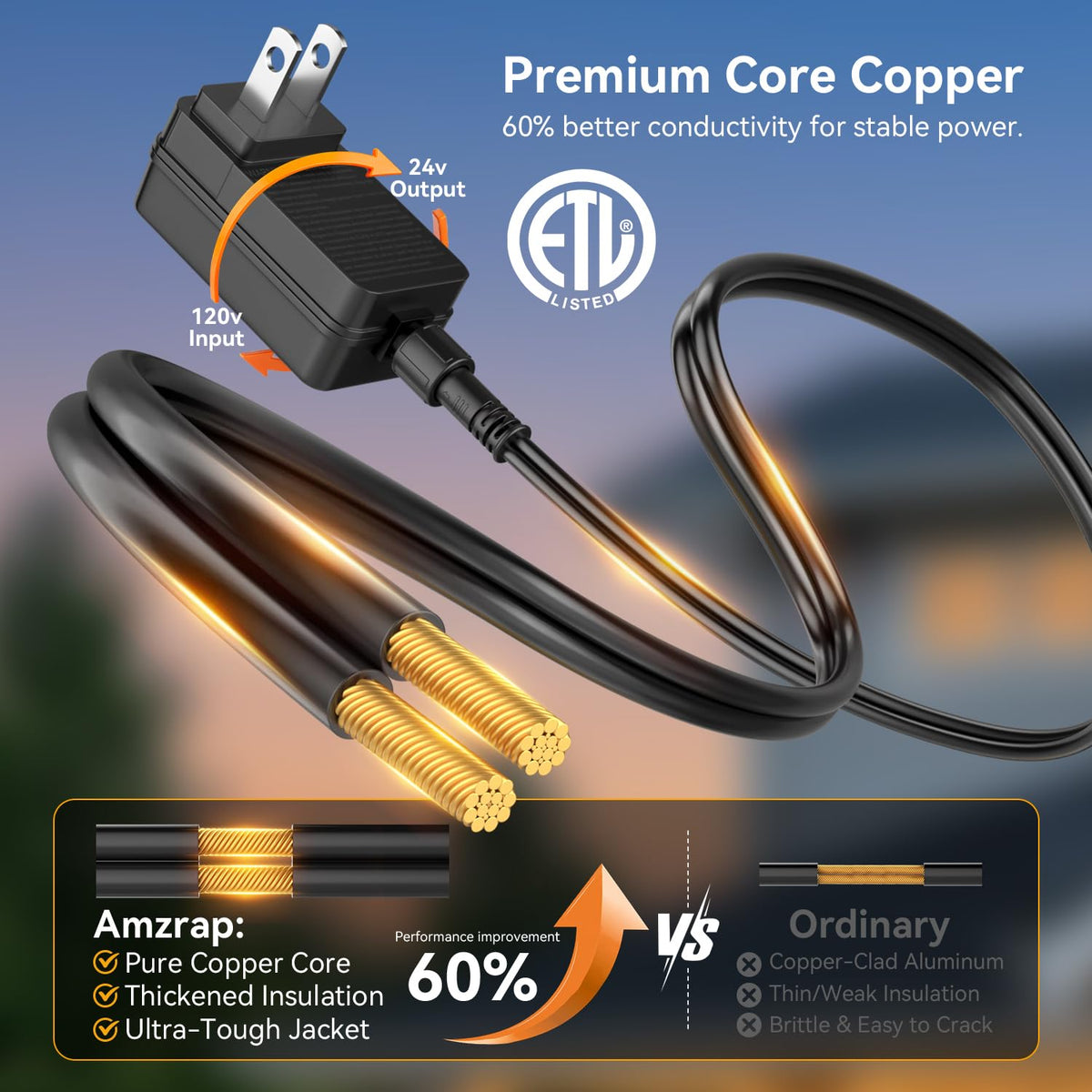 100FT Outdoor String Lights with Remote (100FT)